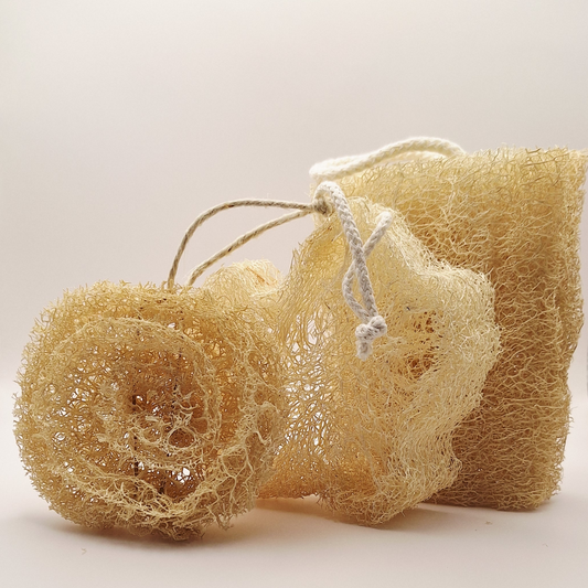 Lot découverte Loofah
