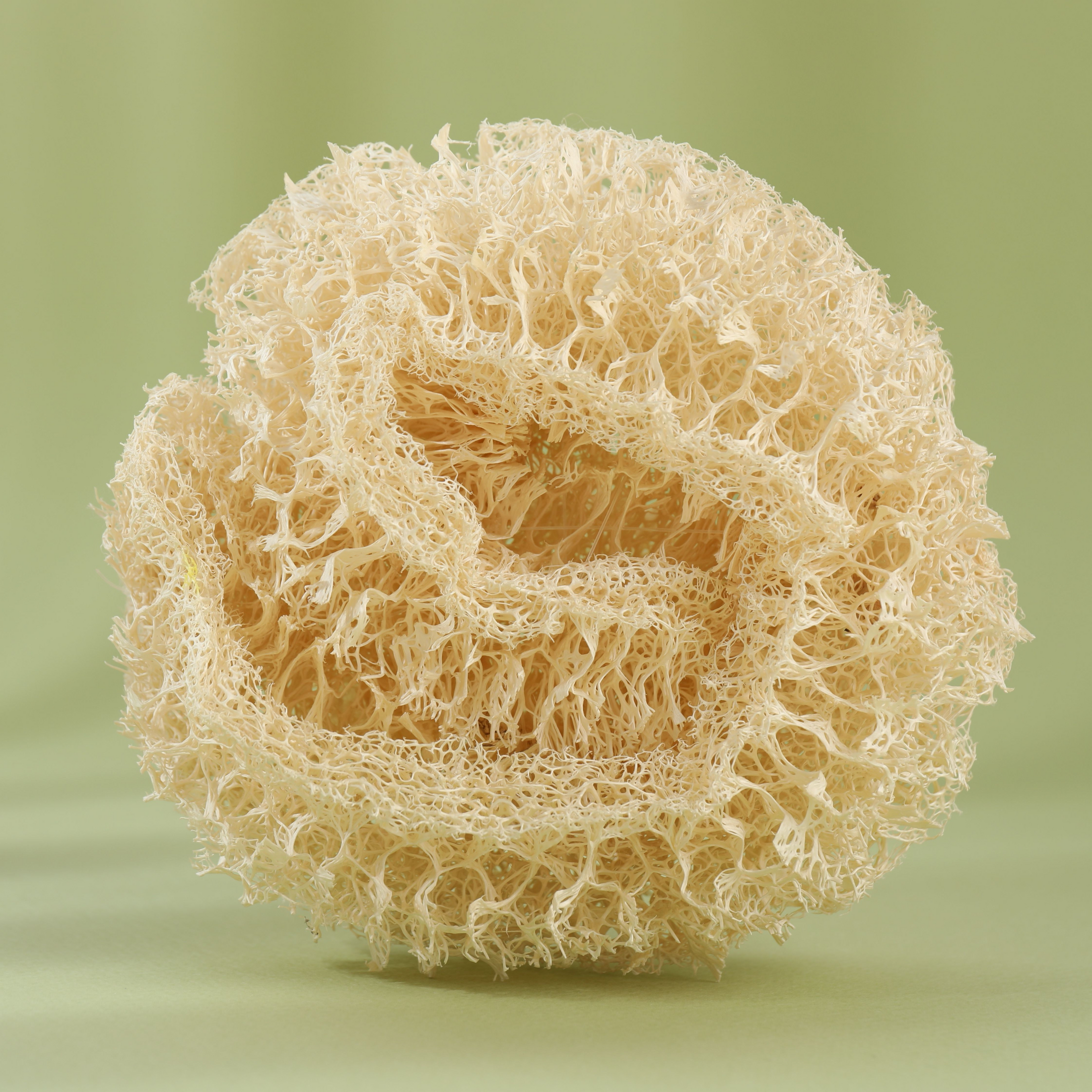 Éponge luffa anti-rugosité