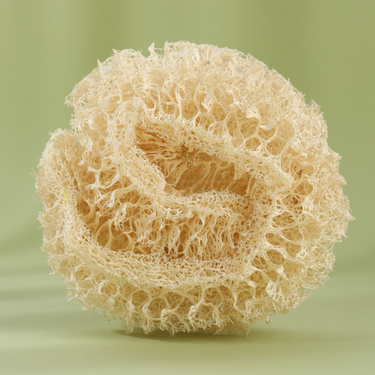 Éponge luffa anti-rugosité