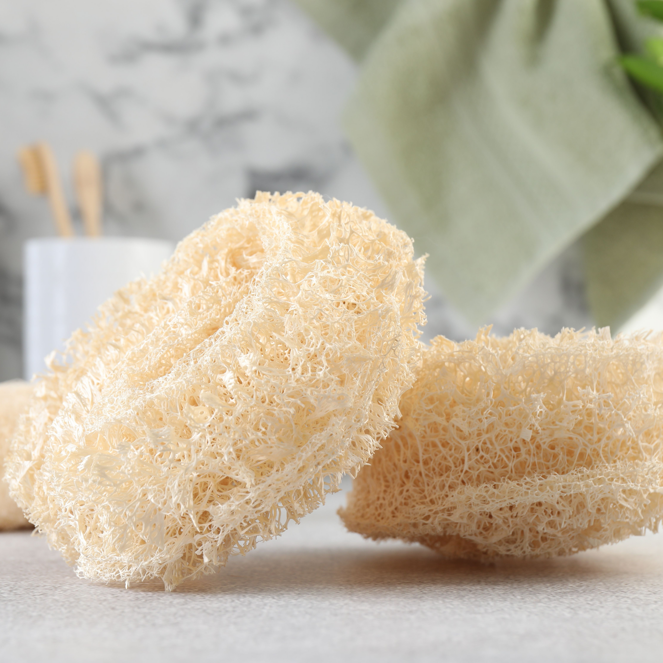 Éponge luffa anti-rugosité