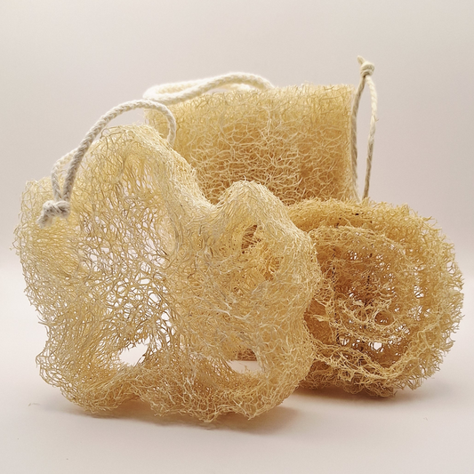 Lot découverte Loofah