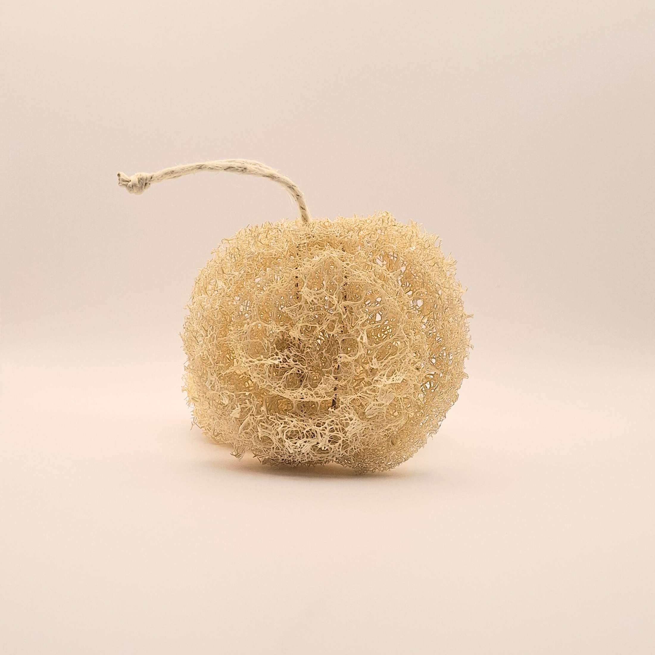 Éponge luffa anti-rugosité