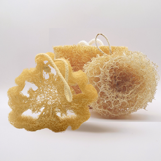 Lot découverte Loofah