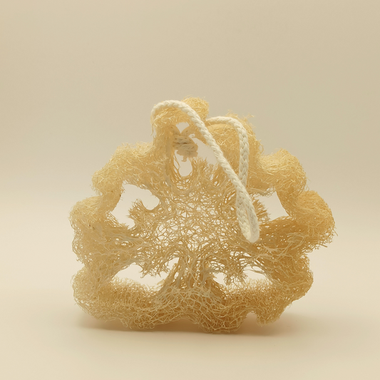 eponge ecologique naturelle luffa loofah