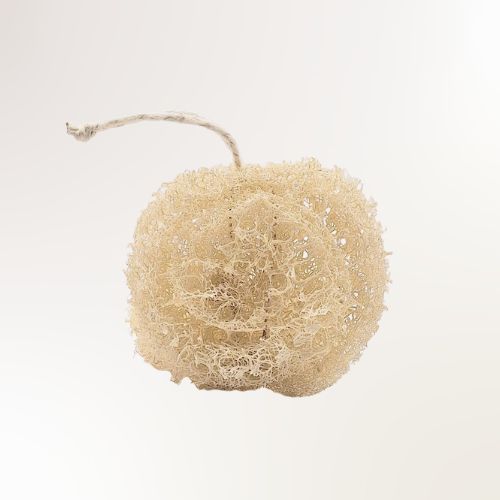 Éponge luffa anti-rugosité