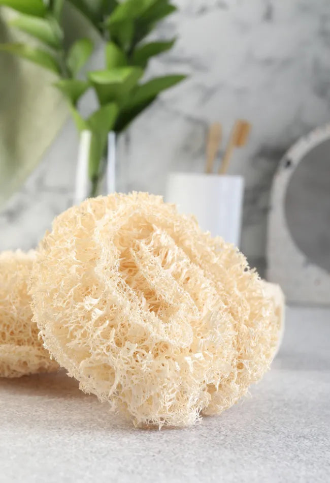 eponge zero dechet en loofah exfoliante
