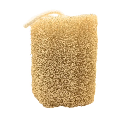 eponge en luffa pour le soin du corps