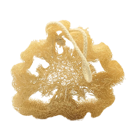 decoupe fine de loofah eponge pour la vaisselle