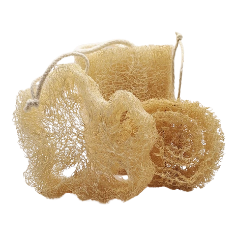 lot eponges en luffa naturelles