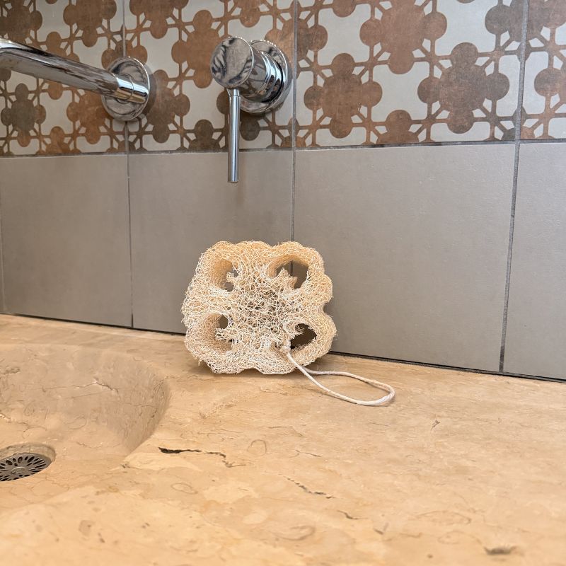 Éponge luffa vaisselle