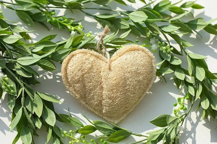 eponge zero dechet en loofah en forme de coeur