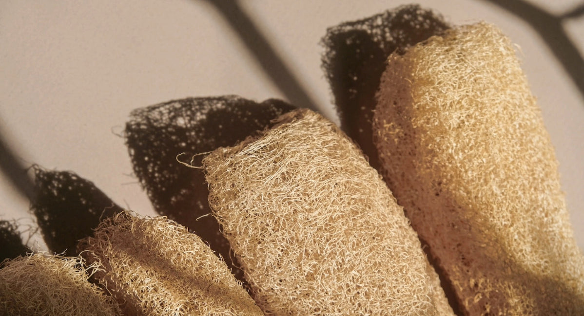 eponge zero dechet loofah